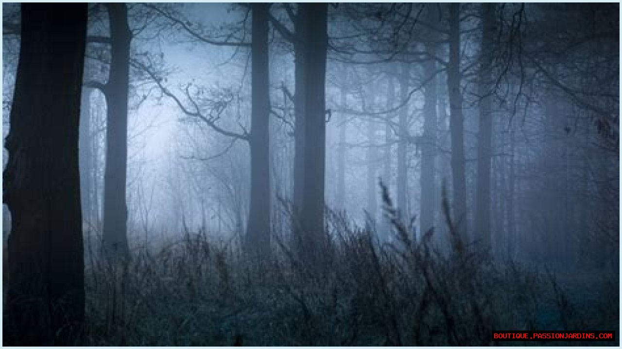 The Bizarre Legend Of The New England Cryptid, The Egopantis